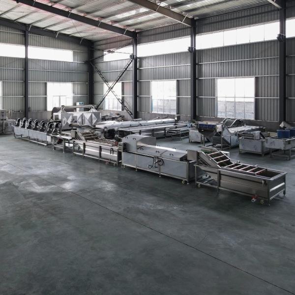 500kg Commercial Industrial Automatic Fruit Cleaning Machine / Vegetable Washing