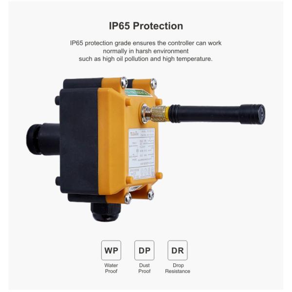 F21-2D Crane Remote Control Systems 2 Dual Speed Keys Wireless Crane Controller