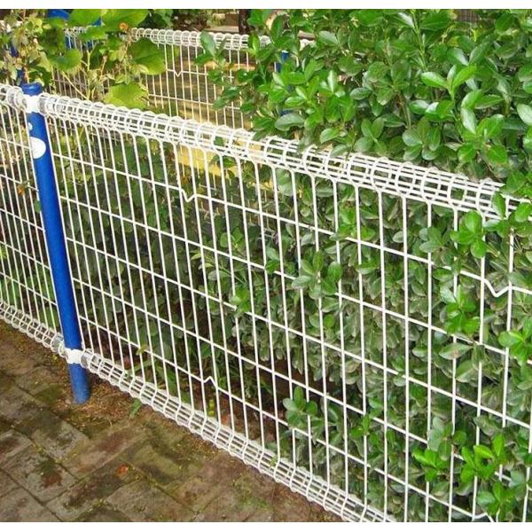 Double Loop Welded Wire Mesh