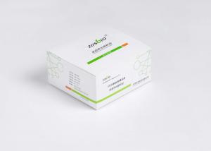 Quality B Type Natriuretic Peptide BNP Test Kit 5-5000pg/ML For Nephrology wholesale