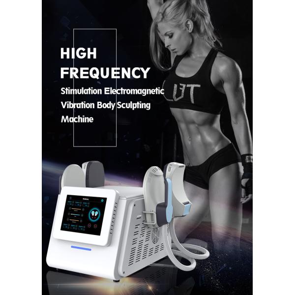 High Frequency Pulse Fat Sculpting Machine Exercise Abdominal Fat Burning Machine