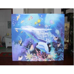 PLASTIC LENTICULAR Wholesale Customized 3d lenticular picture 3D flip prints