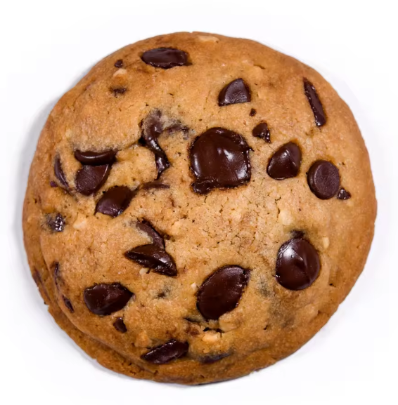 Chocolate Chip Biscuit Encrusting Production Line Automatic Equipment Bakery