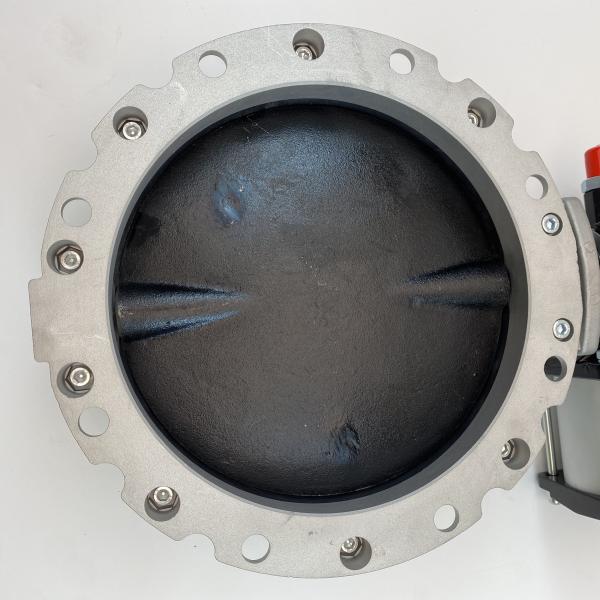 Low Temperature Environments DN300 Powder Butterfly Valves with Pneumatic Actuator
