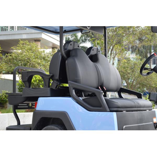 2 4 6 Seat Electric Lithium Battery Sightseeing Golf Cart Golf Buggy Car with DOT Comfortable and Spacious