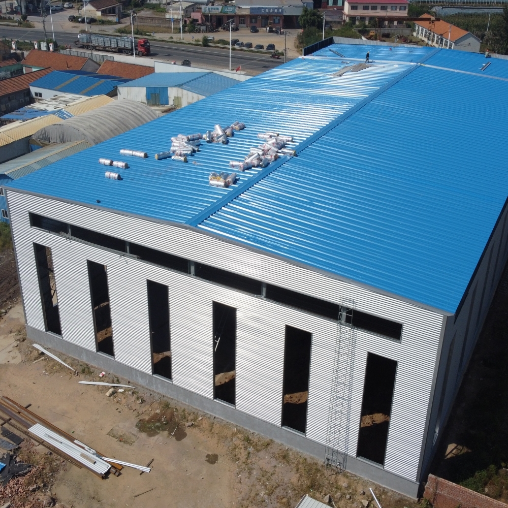 Quality Q235B Q355B Prefabricated Steel Structure Warehouse Building wholesale