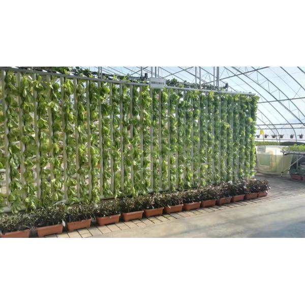 Indoor Hydroponic Growing Systems Home Zip Vertical Hydroponic System