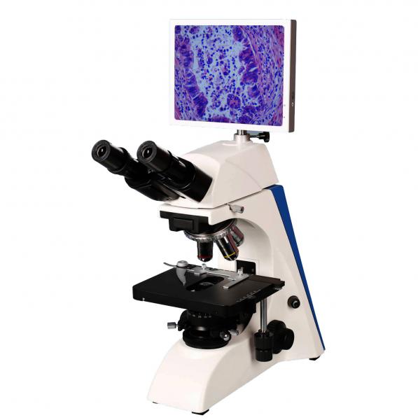 Cheap LCD5000 Affordable 8 inch LCD tourching sreen digital camera microscopy/LCD microscope for hospital reserch labrotary for sale