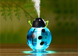 Quality LED Beetle humidifier ultrasonic mini usb cool mist air humidifier wholesale