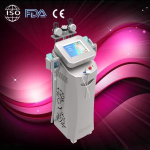Quality equipment cryolipolysis wholesale