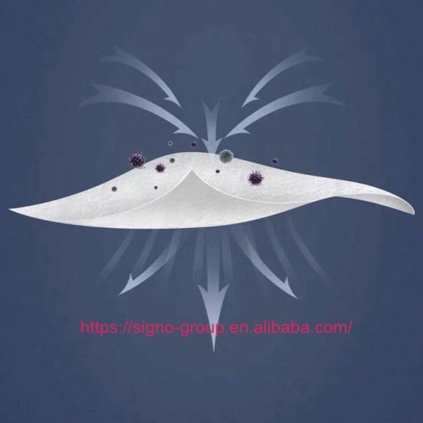 Pm2.5 Personal Disposable Protective Face Mask Ffp2 Ffp3 Dust Mask