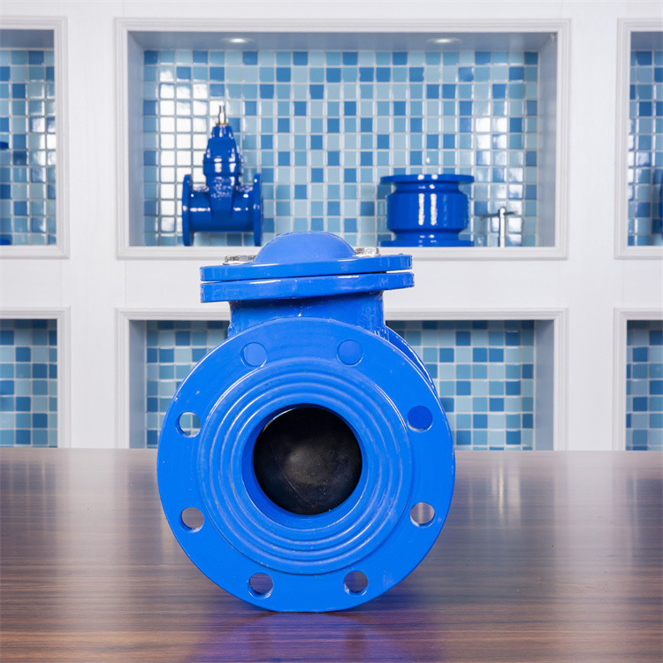H44X-16Q Nodular Cast Iron Check Valve Ductile DN50 Rubber Flap Check Valve