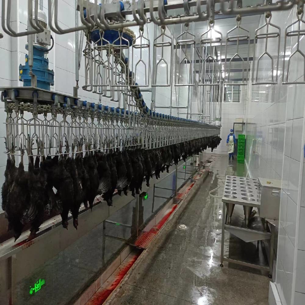 Quality 3400KG Halal Poultry Slaughterhouse Equipment Turkey Duck Broiler Chicken Processing wholesale