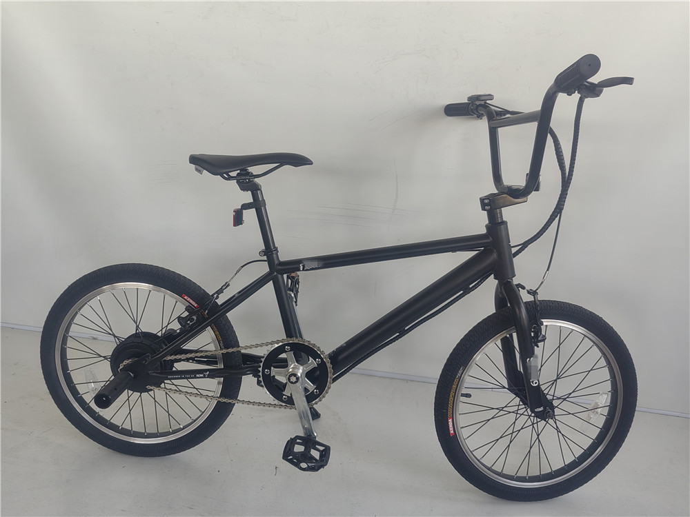 KT Controller 2024 250W 24V 10.4 A PAS Single Speed Electric Bike with Hidden Battery