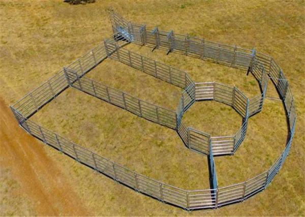 sheep panels for sale