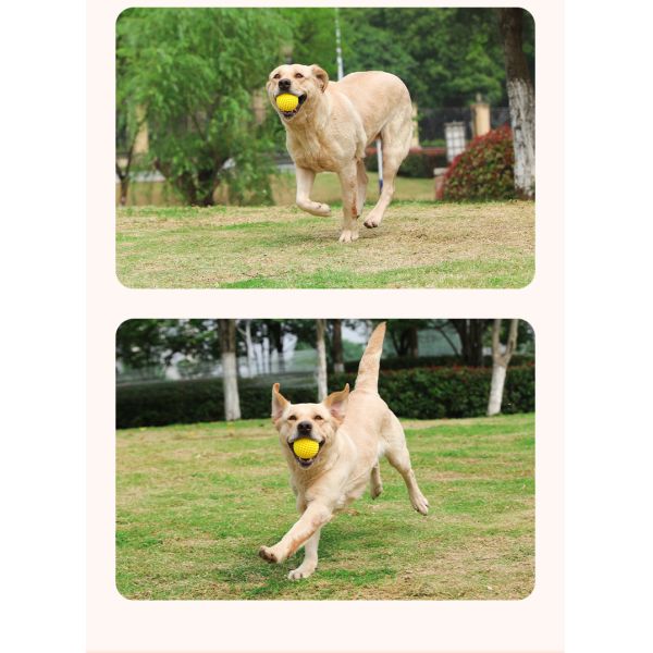 Lightweight Pet Toys Ideal for Travel and Outdoor Adventures Providing Convenient Entertainment