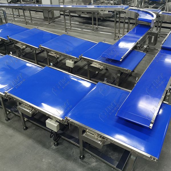 Automatic Belt Conveyor Line Equipment Fruit And Vegetable Conveying Line