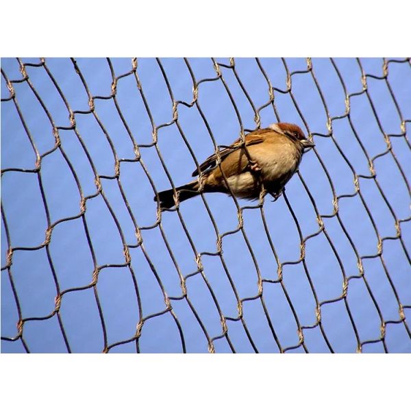 Woven 1/8 Inch Black Oxide Cable Mesh Customized For Safety Netting