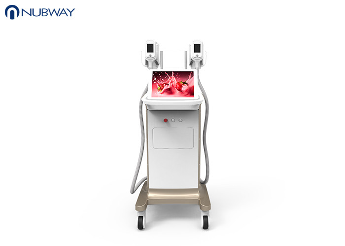 -15oC low temperature cool sculpting cryoliplysis body slimming weight loss