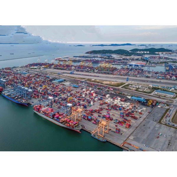 Internationl Sea Shipping Company , Best Rate LCL Sea Freight China