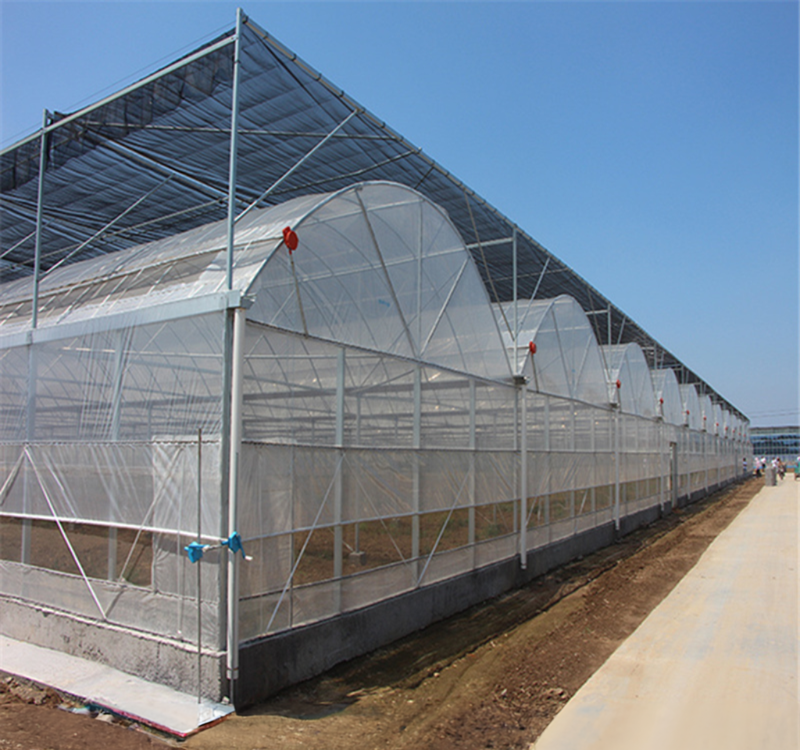 Hot Dip Galvanized Steel Tube Frame Multi Span Agricultural Greenhouse