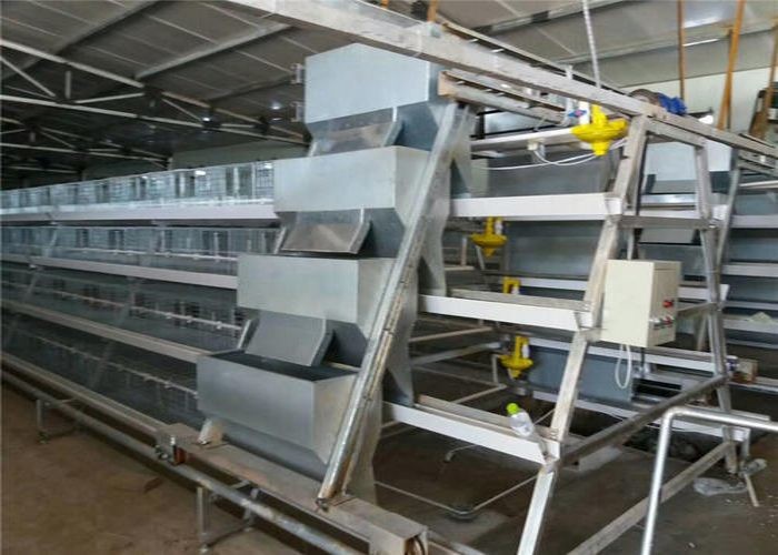 Energy Saving Chicken Farm Machinery With Feed Trough 15-20 Years Lifespan