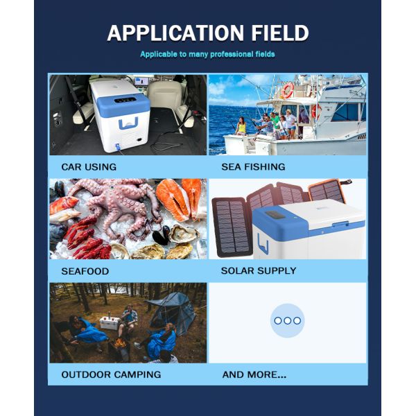 12V/24V -60 Degree Deep Cold Storage and Transfer Portable Freezer for Mini Cars