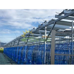 Quality 6000mm Agricultural Greenhouses Photovoltaic Mounting System Farm Shed wholesale