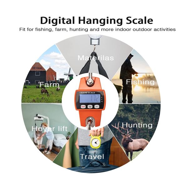 300kg Capacity Mini Digital Crane Weighing Scale with LCD LED Display CE ROHS Compliant OEM Customizable Chinese Hook Type