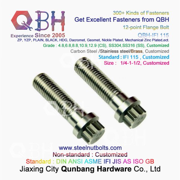 QBH IFI115 - 2002 Gas Turbine Power Plant Aerospace SS304 SS316 Plain 1/4 To 1-1/2 Inch Flange 12-Point 12 Spline Screws