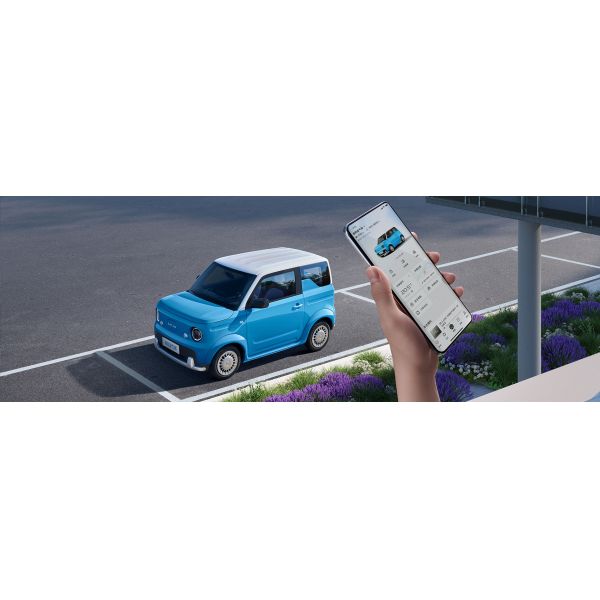 Chinese Automobile Cheap Used New Car 2025 New Energy Vehicles Automatic Livan Blue Balloon Small Mini Ev Electric Car for Sale