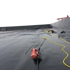 China Chinese Geomembrane Impermeable Fish Pond Shrimp Pond Cistern Waterproof Membrane on sale