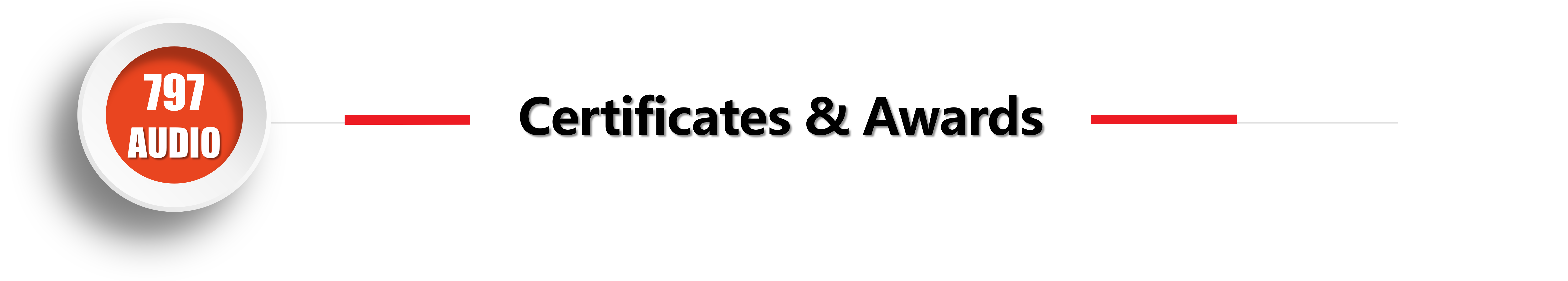 797Audio PSU100 Microphone Power Supply Switching Charging 48V Phantom for XLR Condenser Microphone NEW Design