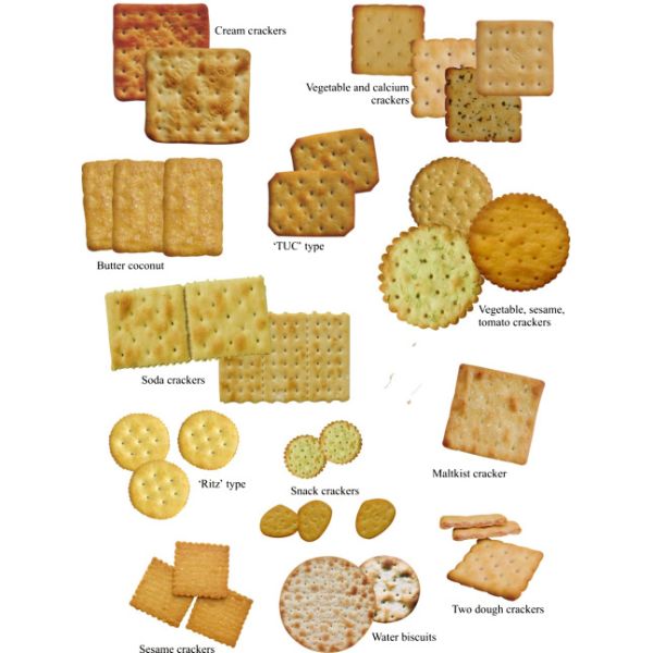 Industrial Automatic Pet Food Processing Equipment Dog Feed Biscuit Making