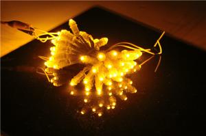 Quality Miracle Bean EPISTAR IP67 12V 0.15W 9mm Led Pixel String Lights wholesale