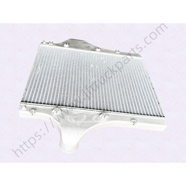 SHACMAN M3000 truck Intercooler assembly DZ96259531033