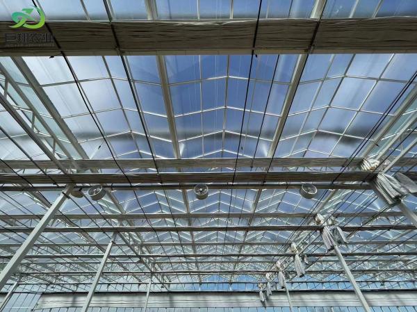 Customized Request for Commercial Greenhouse Tomato Cucumber Lettuce Glasshouse