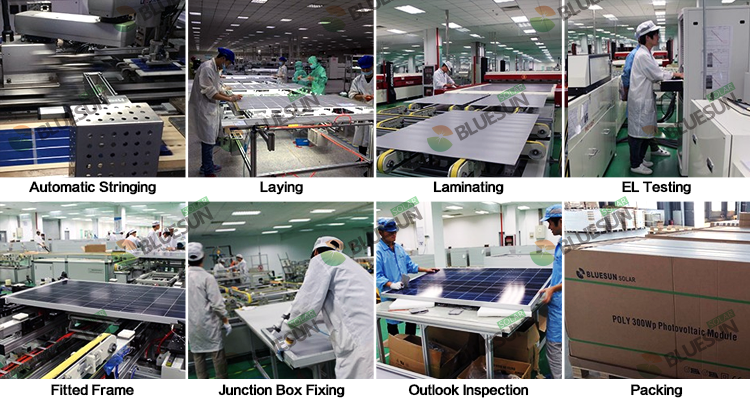 Bluesun Top Sale Solar Panel 230w 240w 250w 260w 270w 280w 400w Solar Power Panel 450w Solar Panel Price