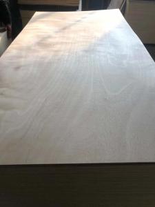 Quality 18mm Okoume Commercial Plywood Sheets/Bintangor Veneer Fancy plywood wholesale