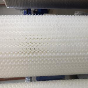 Customized Plastic Conveyor Belt for Logistics Transmission