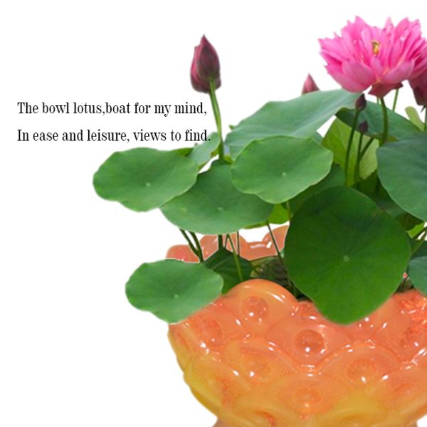 Sustainable Resin Epoxy Silicone Molds Diy Handmade Lotus Shape Bowl