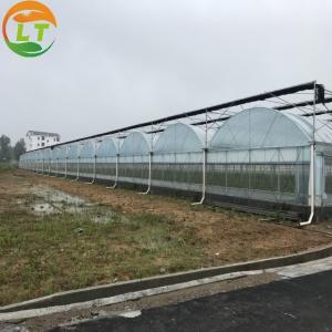 Multi Span Agriculture Greenhouse Height 3m Customized Length 50m
