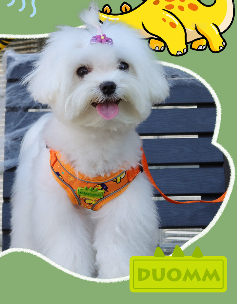 New dog leash small and medium-sized dog chest harness cartoon dinosaur dog walking rope reflective pet chest harness