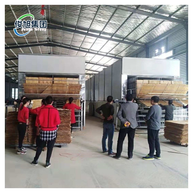 Customizable Drying Process Wood Veneer Production Dryer