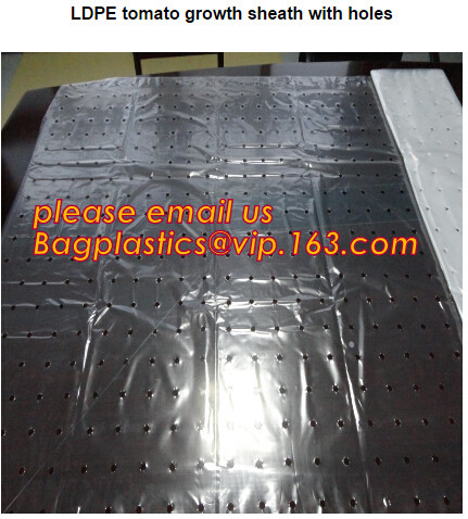 Perforated Black Agricultural Mulch Film for Weed Control Membrane,Pre-stretch Perforated UV Resistant Agriculture Film