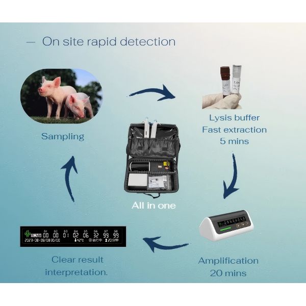 Plastic Multi Scenario On Site Rapid Detection Pack Easy To Use Cassette Type