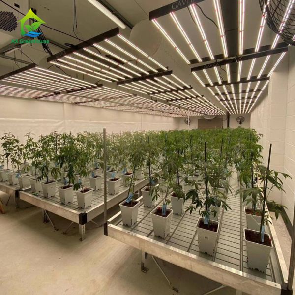 Ebb And Flow Greenhouse Rolling Bench For Seeding Vertical Grow