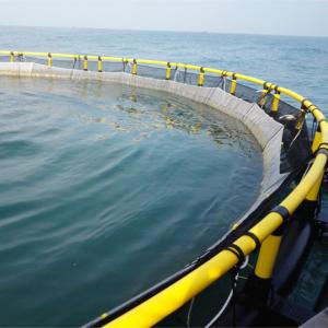 HDPE Circular Fish Cage 200mm Floating Pipe Anti-Wave Design