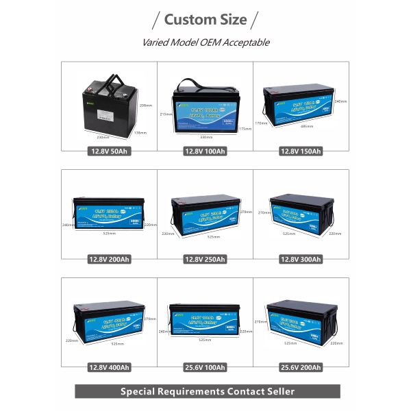 Built in BMS 100AH 200AH 300AH 400AH 50AH 24V 30Amp Wheelchair Battery 12V Rechargeable Battery for 12V DC Motor