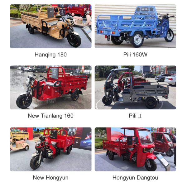 Open Body Type 1000W Zongshen 3 Wheel Electric Cargo Truck E Tricycle for Adults